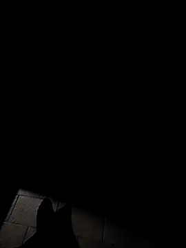 Snapshot of lollipop882 chatting on October 1, 2025, 4:06 am lollipop882 online show from October 1, 2025, 4:06 am