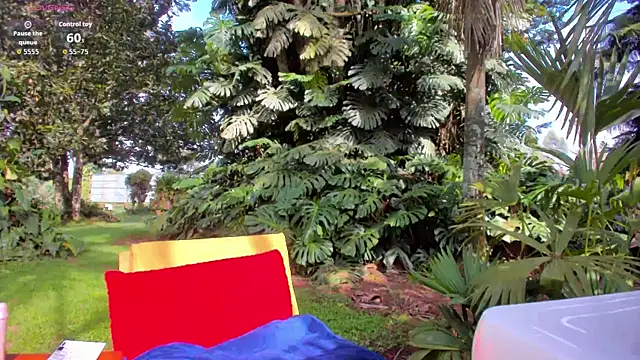 Angiehuston1 online show from February 5, 2026, 2:02 pm