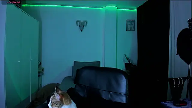 Snapshot of kattusauruss chatting on March 22, 2026, 2:26 am kattusauruss online show from March 22, 2026, 2:26 am