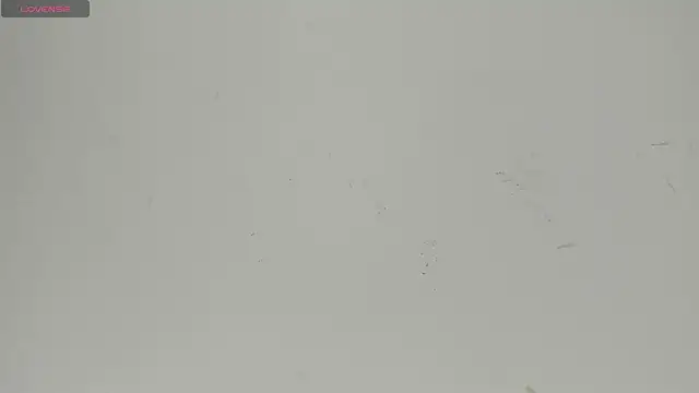 Snapshot of Sophia_Ebony chatting on June 22, 2026, 12:24 pm Sophia Ebony online show from June 22, 2026, 12:24 pm