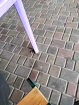 Odecca11 online show from November 23, 2025, 8:24 am