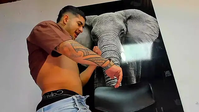 Snapshot of king_falconer chatting on October 29, 2025, 2:54 am king falconer online show from October 29, 2025, 2:54 am