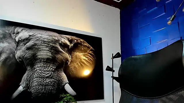 Snapshot of king_falconer chatting on November 29, 2025, 11:16 pm king falconer online show from November 29, 2025, 11:16 pm