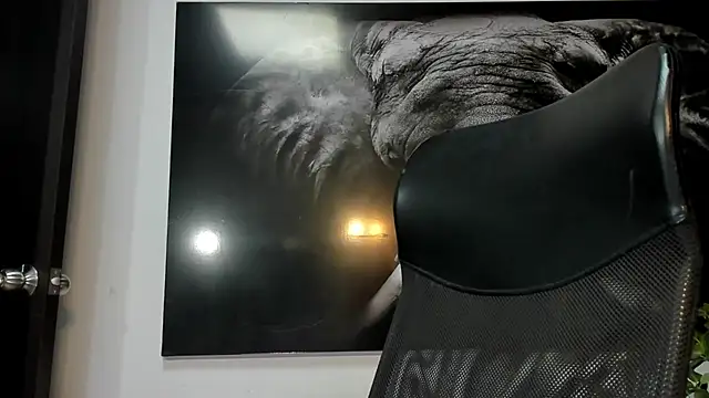 Snapshot of king_falconer chatting on December 5, 2025, 2:10 am king falconer online show from December 5, 2025, 2:10 am