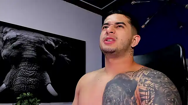 king falconer online show from December 18, 2025, 1:11 am