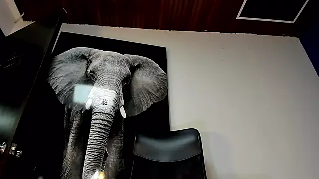 Snapshot of king_falconer chatting on November 2, 2025, 12:37 am king falconer online show from November 2, 2025, 12:37 am