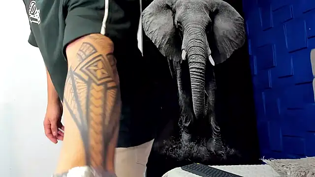 Snapshot of king_falconer chatting on November 3, 2025, 12:49 am king falconer online show from November 3, 2025, 12:49 am