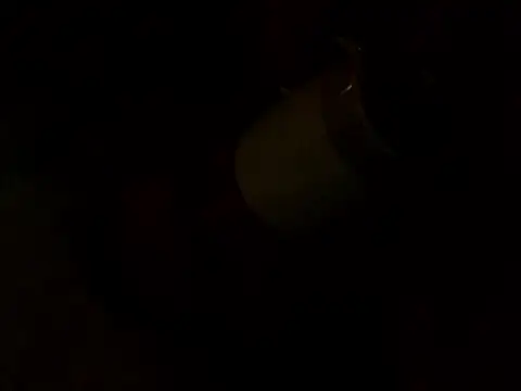 Snapshot of PointXXL chatting on December 16, 2025, 2:32 pm PointXXL online show from December 16, 2025, 2:32 pm