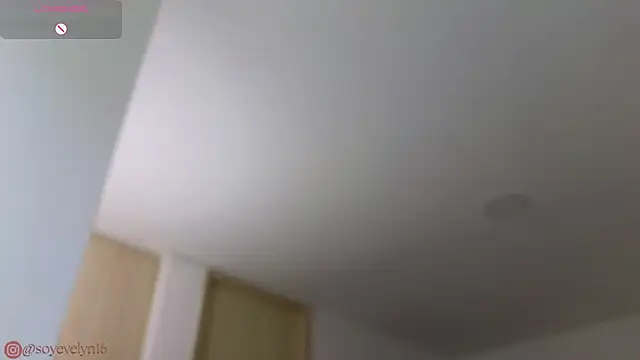 Snapshot of Evelyn__16 chatting on November 11, 2025, 5:41 pm Evelyn 16 online show from November 11, 2025, 5:41 pm