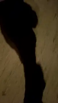 Snapshot of jvdzj-0_ chatting on October 12, 2025, 12:56 am jvdzj-0 online show from October 12, 2025, 12:56 am