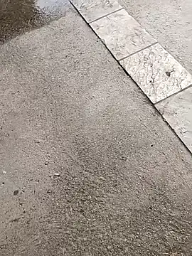 Snapshot of jvdzj-0_ chatting on October 19, 2025, 3:37 pm jvdzj-0 online show from October 19, 2025, 3:37 pm