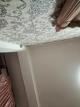 Snapshot of jvdzj-0_ chatting on November 13, 2025, 12:47 am jvdzj-0 online show from November 13, 2025, 12:47 am