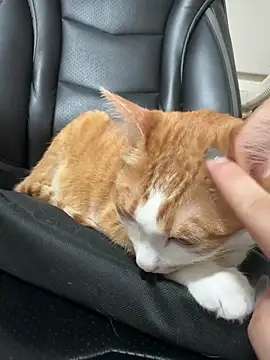 Snapshot of ariel_613 chatting on October 19, 2025, 2:53 pm ariel 613 online show from October 19, 2025, 2:53 pm