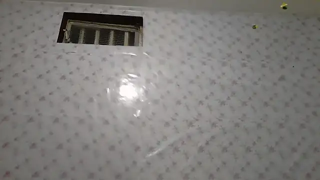 Roselingalvis13 online show from March 3, 2026, 2:51 am