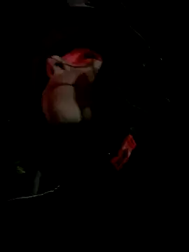 juliie star online show from November 15, 2025, 12:47 am