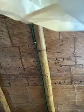 juliie star online show from October 16, 2025, 12:24 pm