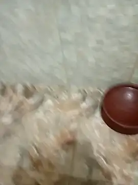 Alex Docinho online show from February 3, 2026, 9:09 pm