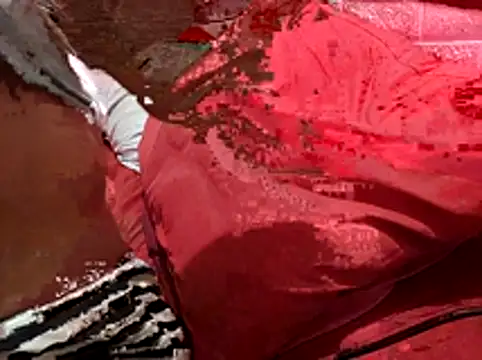 Kellye hotTs online show from February 4, 2026, 2:17 am