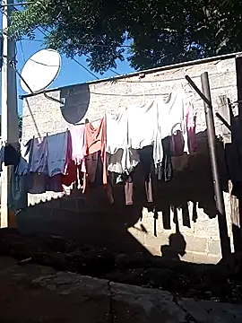 Snapshot of RFeltomWhitJ chatting on November 13, 2025, 5:22 am RFeltomWhitJ online show from November 13, 2025, 5:22 am