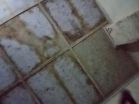 Snapshot of RFeltomWhitJ chatting on November 17, 2025, 1:09 am RFeltomWhitJ online show from November 17, 2025, 1:09 am