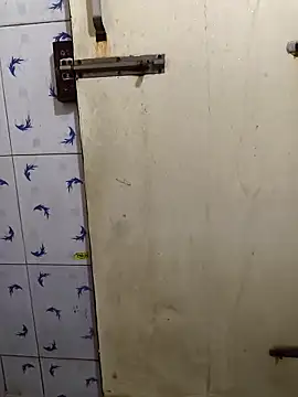 Telugu abbai 69 online show from February 22, 2026, 6:05 am