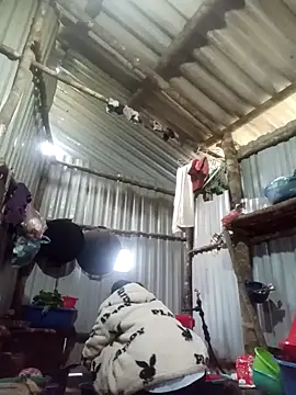 jienrrr online show from December 17, 2025, 12:15 am