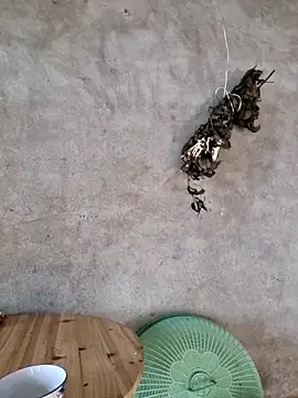 Snapshot of yoowwmr chatting on November 23, 2025, 12:53 am yoowwmr online show from November 23, 2025, 12:53 am