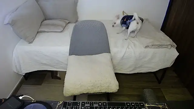 Snapshot of bossking017 chatting on February 20, 2026, 4:31 pm bossking017 online show from February 20, 2026, 4:31 pm