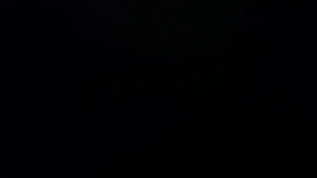 Snapshot of bossking017 chatting on February 19, 2026, 4:04 pm bossking017 online show from February 19, 2026, 4:04 pm