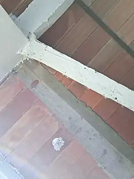 Snapshot of Cataleya_ja chatting on February 24, 2026, 12:39 pm Cataleya ja online show from February 24, 2026, 12:39 pm