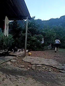 SexyQueen99 online show from October 6, 2025, 10:43 pm