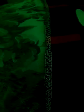 The-youngbigd online show from April 26, 2026, 3:53 pm