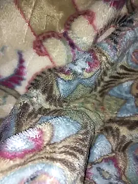 Snapshot of amin20cm chatting on October 28, 2025, 11:47 pm amin20cm online show from October 28, 2025, 11:47 pm