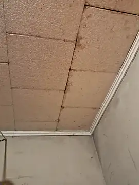 Tudiablita21 online show from March 10, 2026, 9:35 am