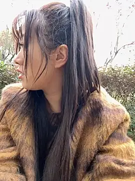 maomao 520 online show from November 20, 2025, 7:31 am