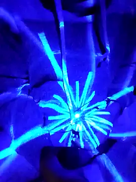 Oaxhot online show from October 30, 2025, 7:06 am