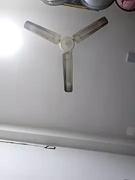 sneha bebo online show from December 20, 2025, 10:40 am