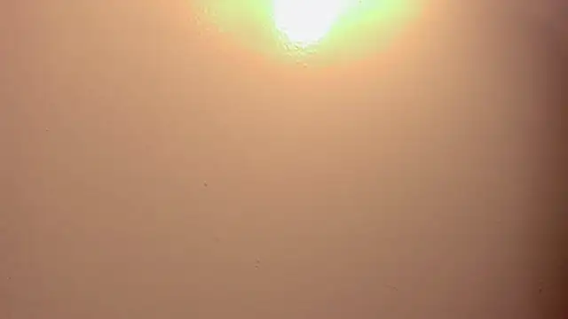 Snapshot of Cata_MW chatting on July 25, 2026, 7:09 pm Cata MW online show from July 25, 2026, 7:09 pm