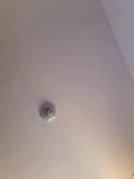 alinaalinutzq online show from November 3, 2025, 8:40 am