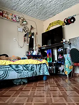 mexosito27 online show from February 20, 2026, 10:01 pm