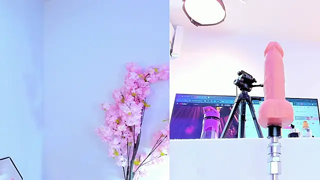 Snapshot of maily_zanss chatting on March 4, 2026, 7:43 pm maily zanss online show from March 4, 2026, 7:43 pm