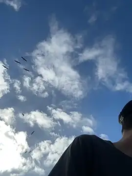 thejohnryancollection online show from October 22, 2025, 10:41 pm