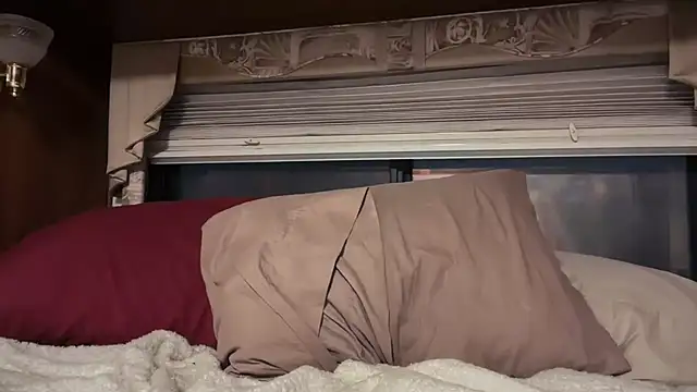 Snapshot of DERTYLAY chatting on February 18, 2026, 5:53 pm DERTYLAY online show from February 18, 2026, 5:53 pm