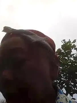 VangLe73 online show from October 16, 2025, 1:14 am