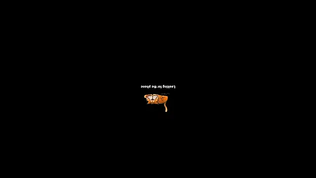 pecsblack888 online show from September 29, 2025, 6:46 pm