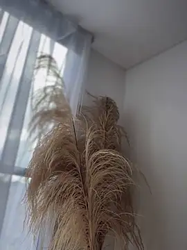 Sofi Leal online show from November 26, 2025, 1:00 pm