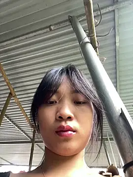 Phayphay77 online show from October 14, 2025, 8:37 am