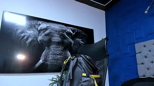 andres-clark92 online show from November 30, 2025, 6:09 pm