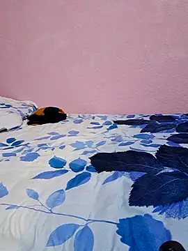 Snapshot of tharki-anand chatting on February 27, 2026, 6:52 pm tharki-anand online show from February 27, 2026, 6:52 pm