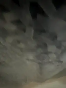 mikey alon2921 online show from September 29, 2025, 5:25 am